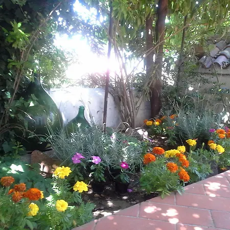 Corte San Lussorio Ольена