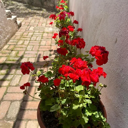 Corte San Lussorio 3*