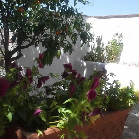 Corte San Lussorio 3* Ольена